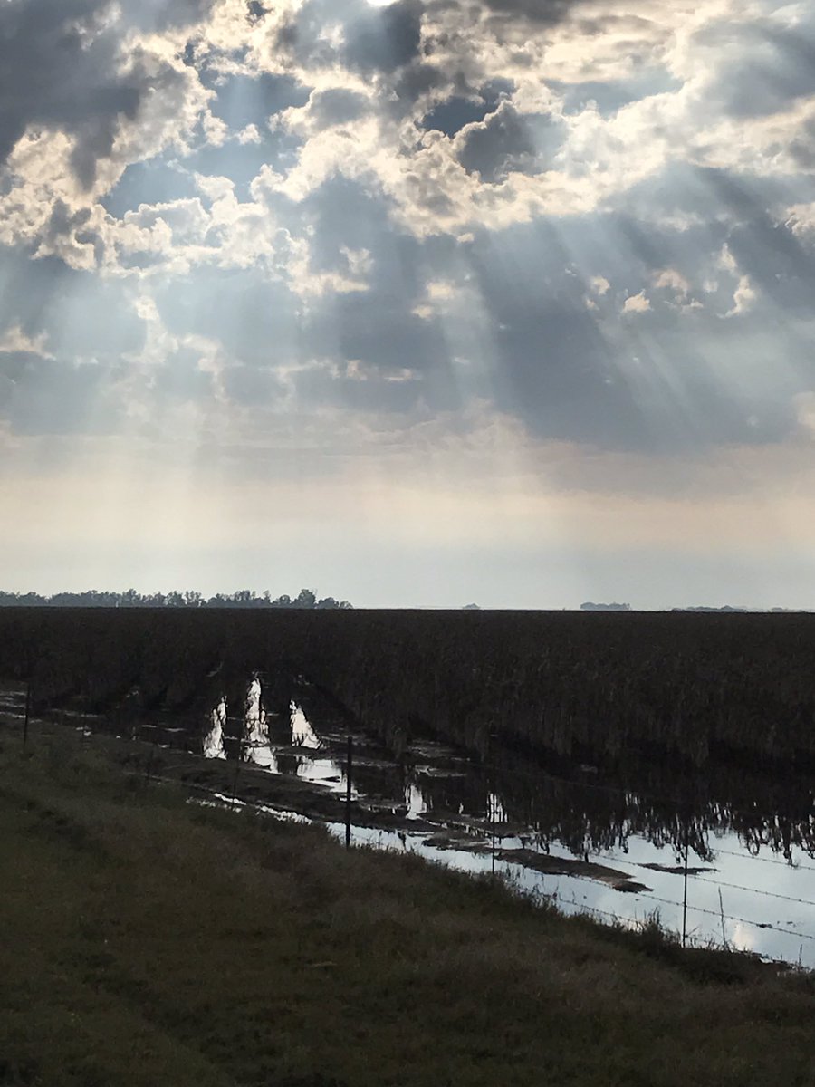 @TrueNorthValuers tweet media