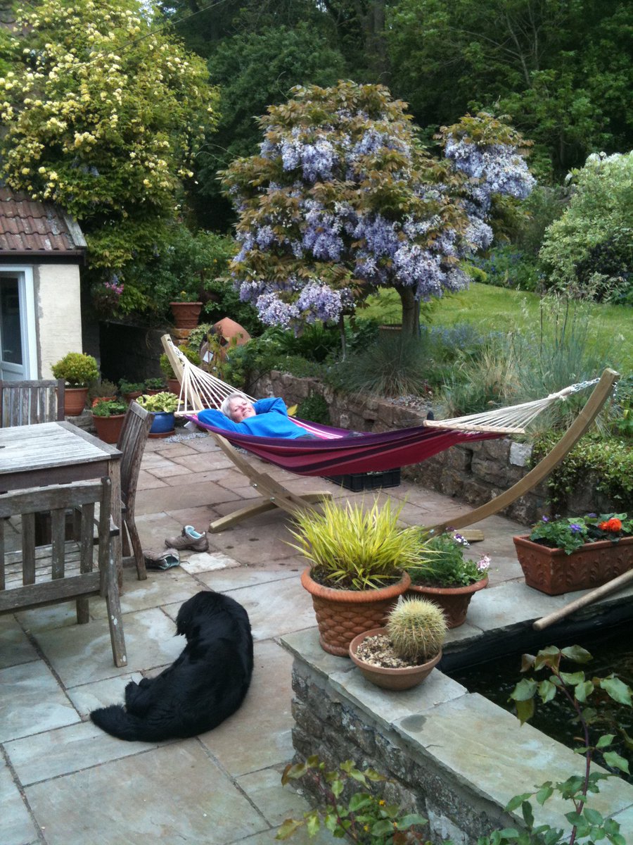 My @Cleevenursery blog on Sunday's #SomersetGardenDay. bit.ly/2qS2ORB +win £3k for your #garden #somerset! gardenday.co.uk