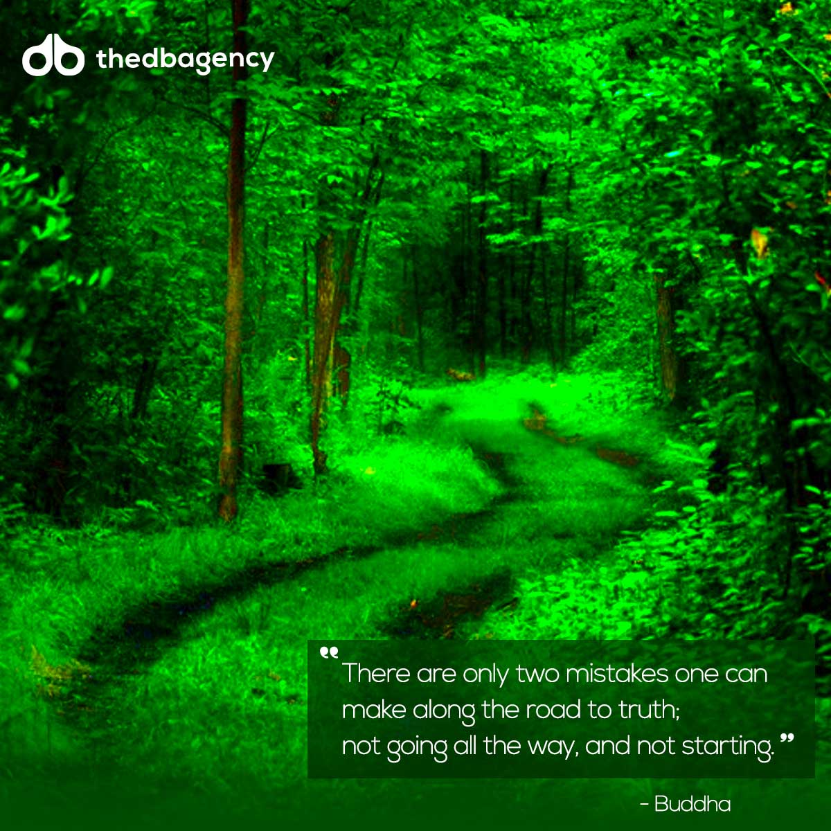 Digital Brands Group tweet media