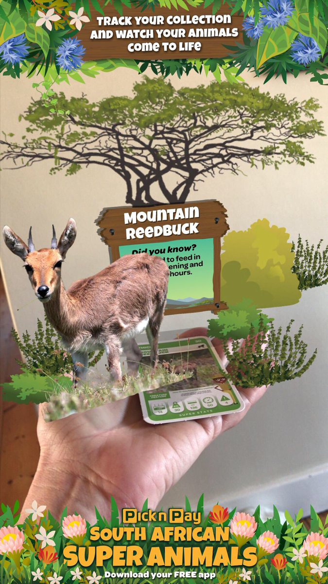 Just got my first South African #PNPSuperAnimals cards and this one is a real cutie #wildlife #conservation #gamingApp #AR
