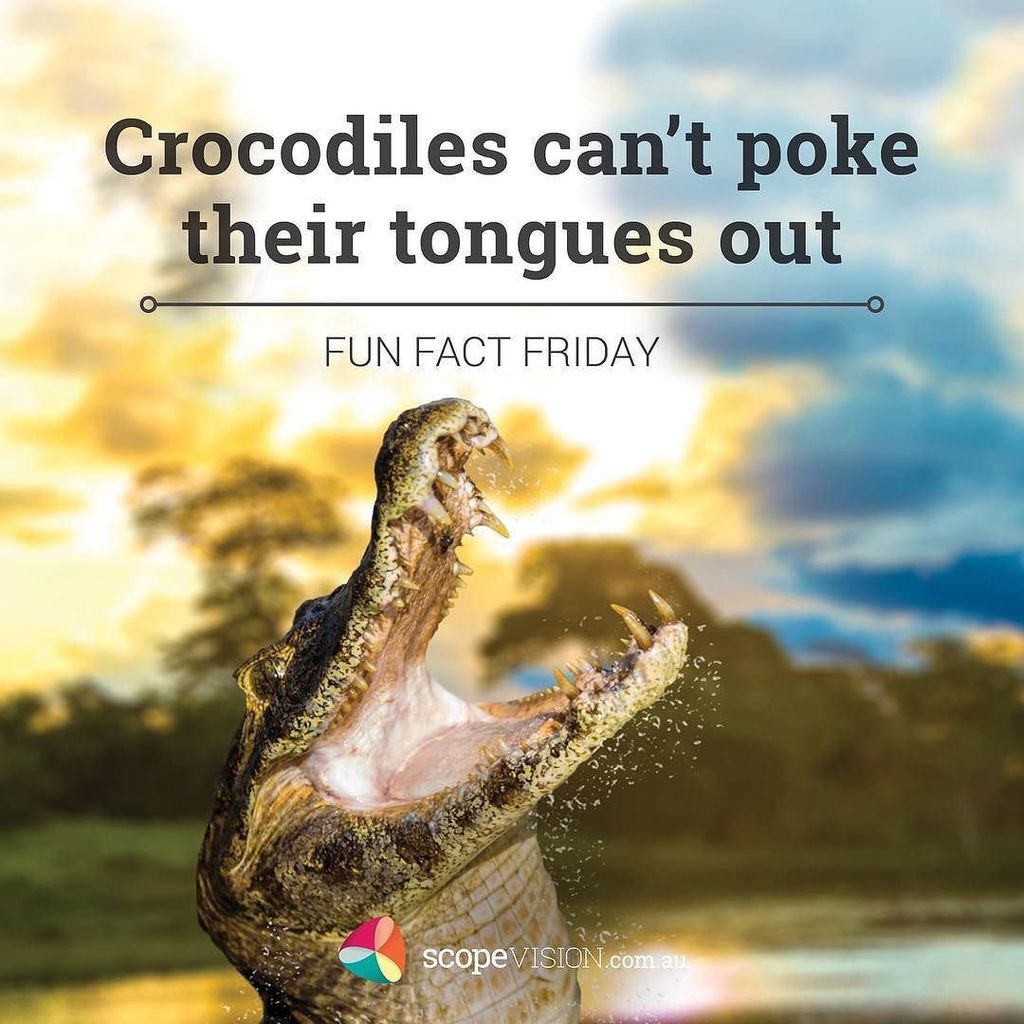 scopevision's tweet photo. Poke your tongue out at them 😜 start a fight! Enjoy! It's Fun Fact Friday 😜
#scopevision #beawesome #funfactfriday https://t.co/iaD6SbkOSG https://t.co/UbzoJnwbMA