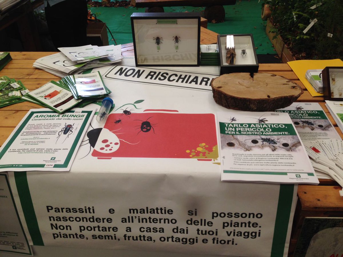 pestsurvey's tweet photo. Oggi al #Forlener di Erba il Servizio #fitosanitario è presente per informare su #Popillia, #Tarloasiatico e sulle attività di diagnosi. https://t.co/efay5jOOCd