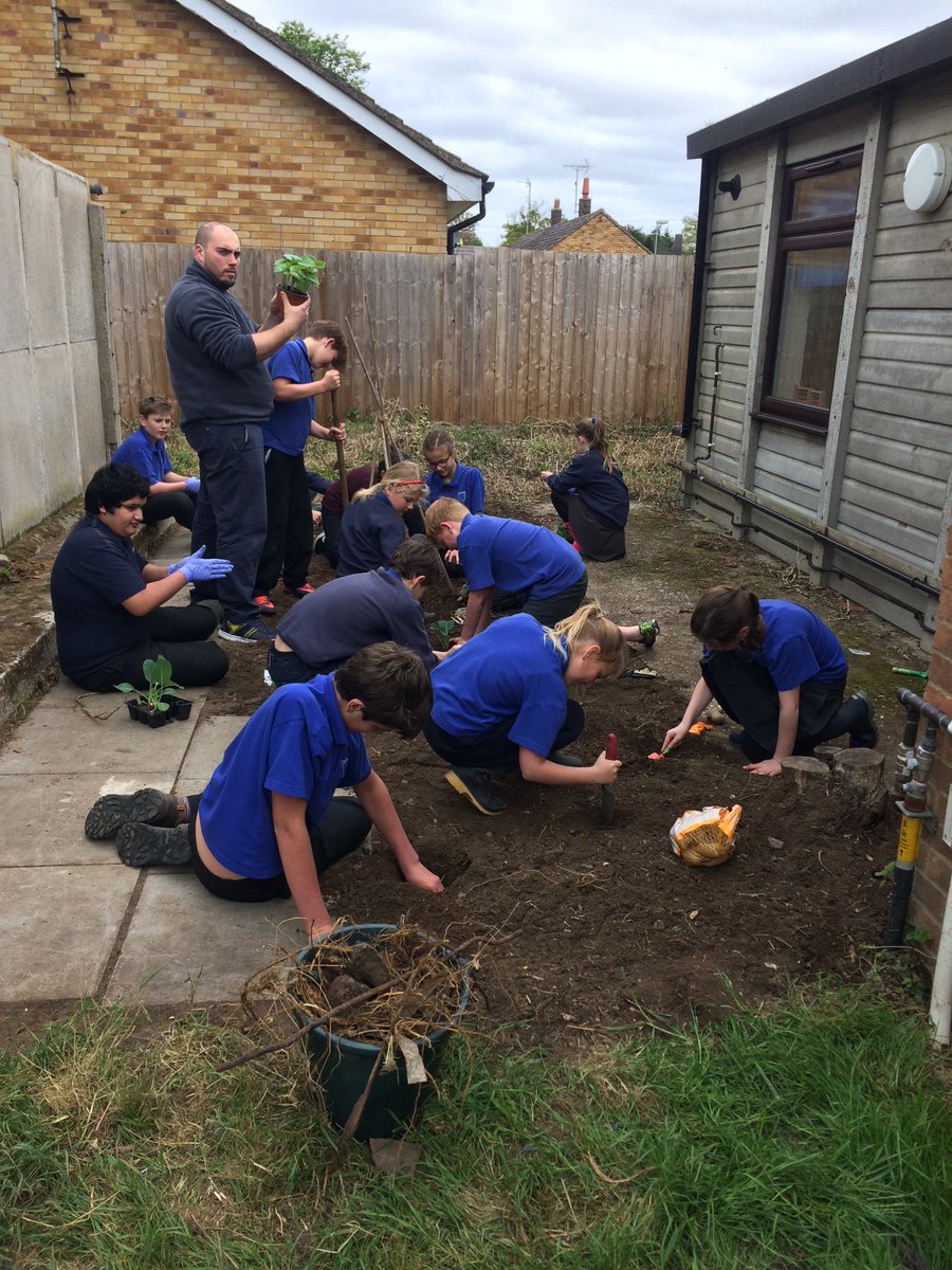 New veg patch in progress!🌽🍆🥒