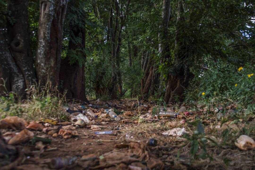 magcorforbes's tweet photo. Let's all conserve nature, recycle and use less plastic 
#Plantamilliontrees  #Magcor/SEEDfoundationpartnership https://t.co/Cmy3yXY0dk