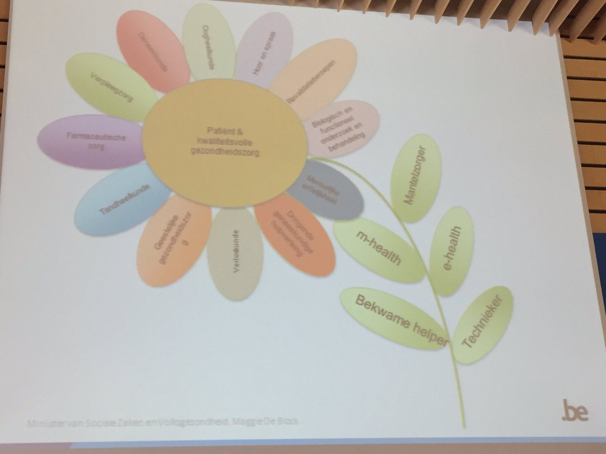 Tom Goffin @vvkp studiedag: gezondheidszorg als madelief, zorgberoepen als noodzakelijke en autonome bloemblaadjes
