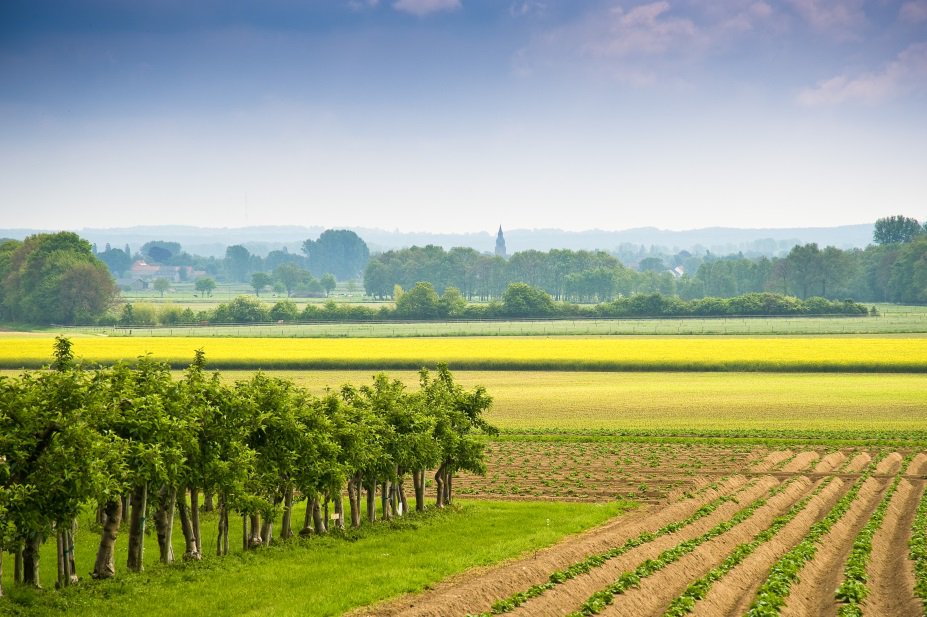 #stroomvandewaal Meer weten over Berg en Dal? - stroomvandewaal.nl/meer-weten-ove…