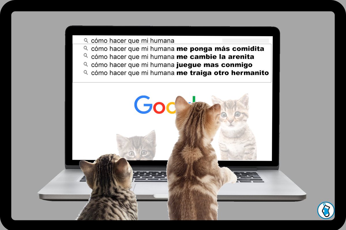 SOCK DATA tweet media