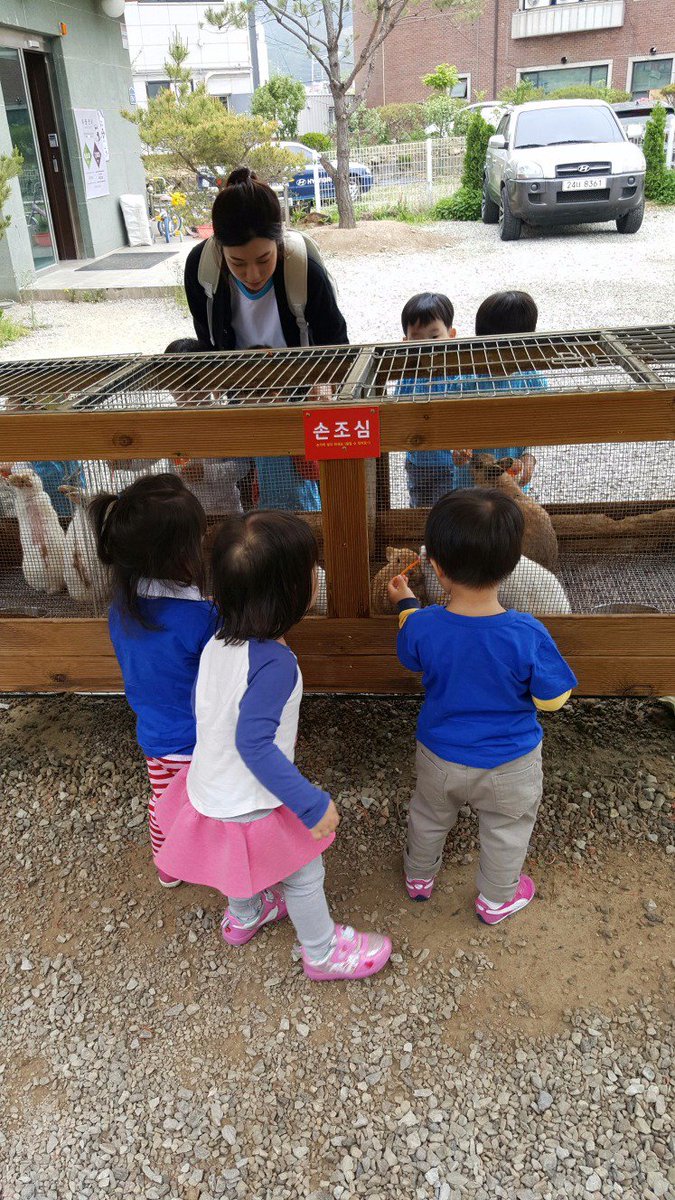 ok4214's tweet photo. 한솔 3,4세 친구들이 퇴촌에 위치한 실내동물원으로 소풍 다녀왔어요^^~돼지와 토끼에게 먹이도 주고 뱀도 만져보는 시간도 가졌어요~동물들아 다음에 또 만나자♥ https://t.co/VgNH07Rqph