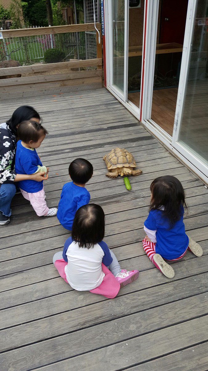 ok4214's tweet photo. 한솔 3,4세 친구들이 퇴촌에 위치한 실내동물원으로 소풍 다녀왔어요^^~돼지와 토끼에게 먹이도 주고 뱀도 만져보는 시간도 가졌어요~동물들아 다음에 또 만나자♥ https://t.co/VgNH07Rqph