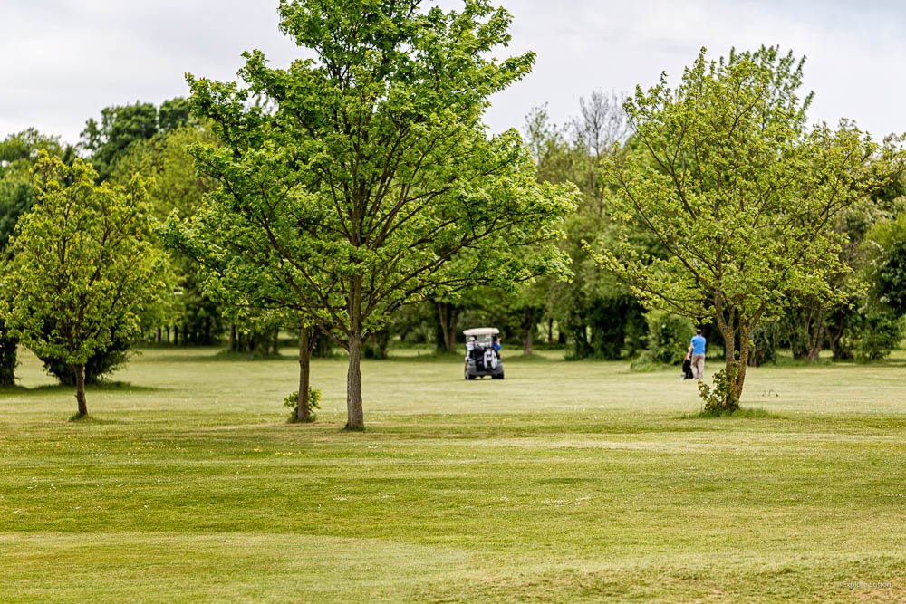 explore_sutton's tweet photo. The Oaks Golf Club #Sutton. Getting on with that #FridayFeeling with some golfing. #Golf #Sport #weekend #exploresutton @theoaksgolf https://t.co/HVA5T68XuG