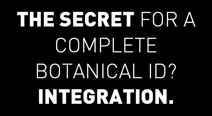 IndenaSpA's tweet photo. Alone, #DNAbarcoding techniques can't get the whole botanical id job done: integration with other analysis is always needed #BotanicalsID https://t.co/AixHLpObxE