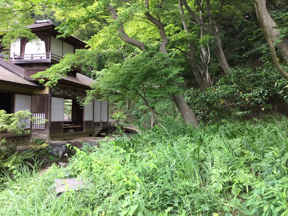 7thSoL's tweet photo. 散歩。
Take a walk to the green... https://t.co/pbNogrzd6e