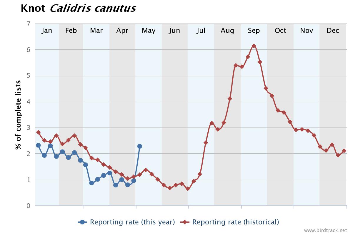 BirdTrack's tweet image. Remarkable jump in the reporting rate of several wader species on your #BirdTrack complete lists this week.