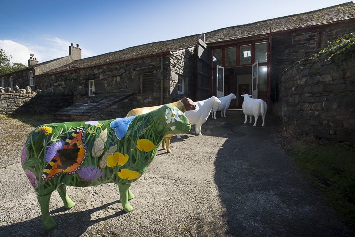 Go Herdwick tweet media
