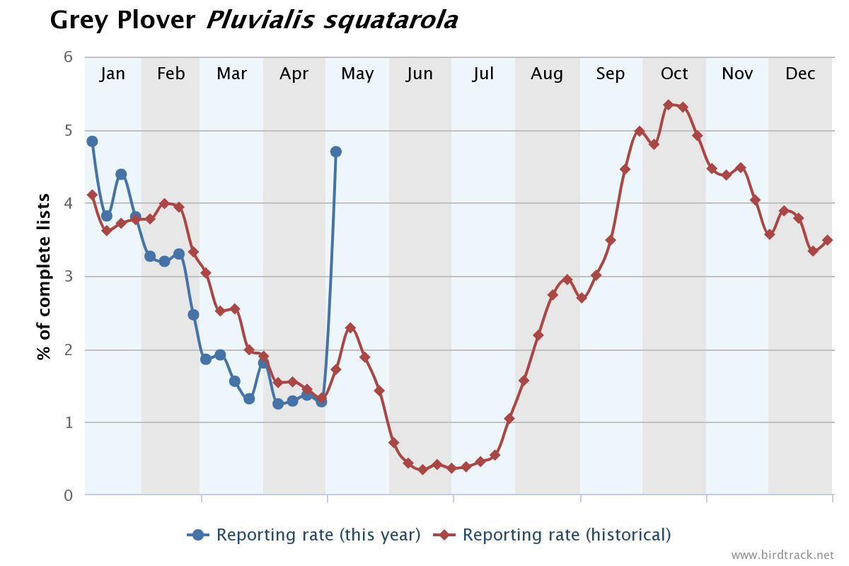 BirdTrack's tweet image. Remarkable jump in the reporting rate of several wader species on your #BirdTrack complete lists this week.