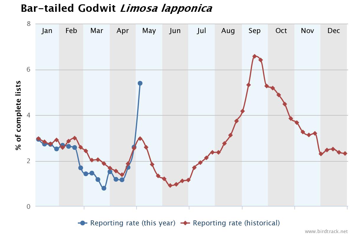 BirdTrack's tweet image. Remarkable jump in the reporting rate of several wader species on your #BirdTrack complete lists this week.