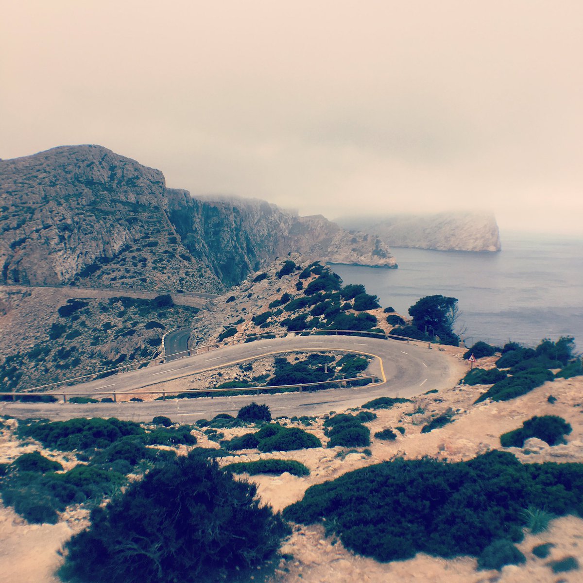 VeloBlogUK's tweet photo. Last week in Mallorca https://t.co/I5BfIcYWN8
