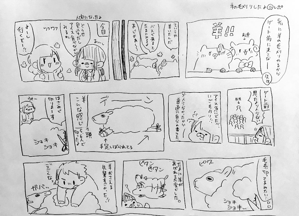 今日羊の毛刈りしたからレポ漫画書きました!役に立たないです!(途中から友達消えてすまんな!) https://t.co/fBWMAv3aAt