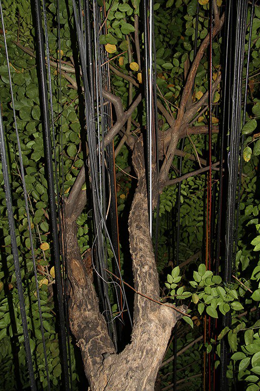 LookPhotoFest's tweet image. Adrian Davies talks to #LOOK17 about his micro and macro visions of Hong Kong @Asmallview lookphotofestivalblog.wordpress.com/2017/05/12/loo…