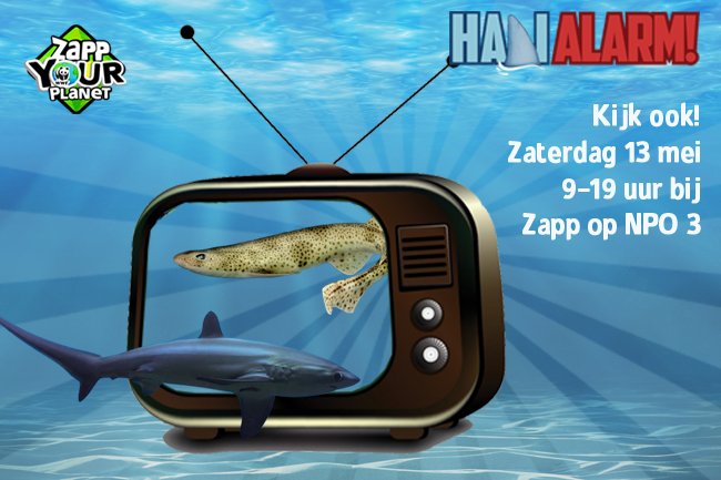Kijk jij morgen ook naar de Zapp Your Planet-marathon op tv? Het is van 9.00 tot 19.00 uur op NPO Zapp 3.#HaaiAlarm #ZYP
