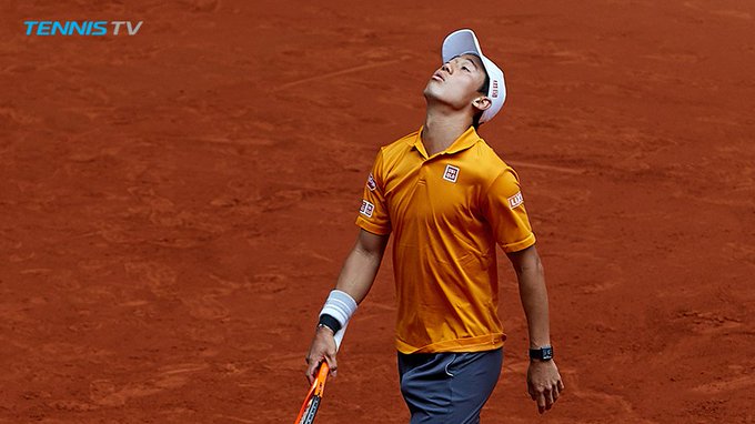 View image on Twitter