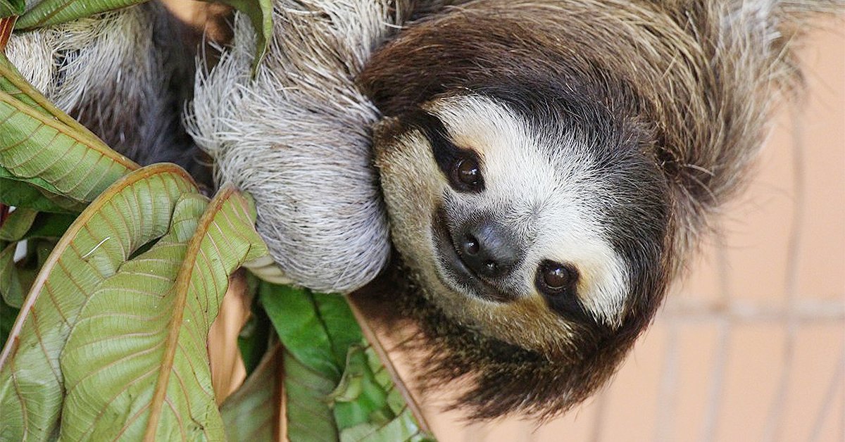 😌😌😌😌😌 5 provas de que o mochileiro é o viajante mais de boas do planeta: abr.ai/2q4xC3Y