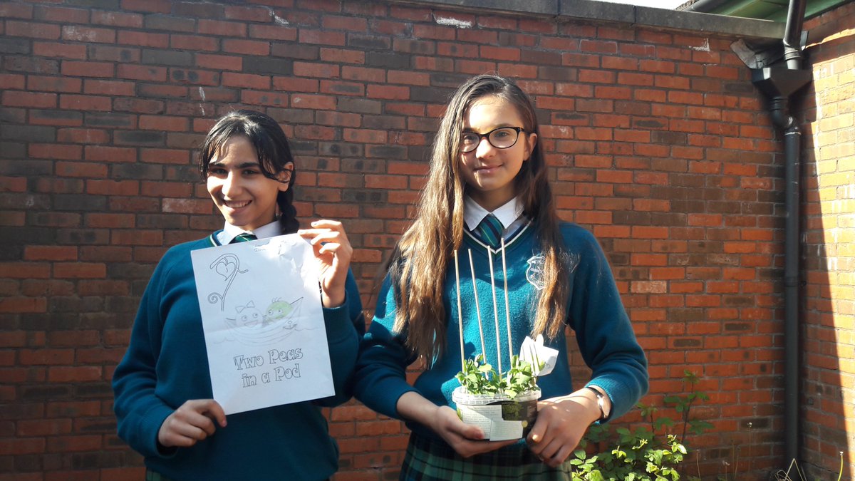 stpaulsg's tweet photo. First Year Business Studies students stacking & showing off their 'shoots'!! #PEA144 @cullyandsully #reciPEAforsuccess https://t.co/wzc8jem9Ie