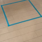 アホ可愛いｗ猫は四角を箱と認識するらしい!