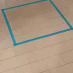 アホ可愛いｗ猫は四角を箱と認識するらしい!