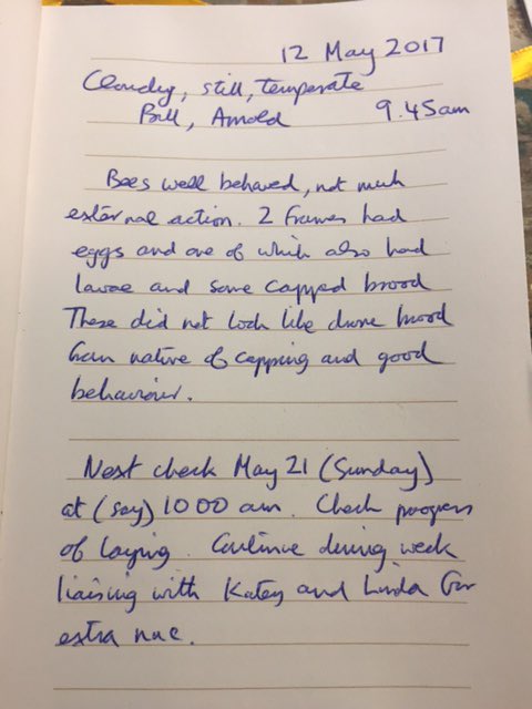 bee7forestgate's tweet image. 