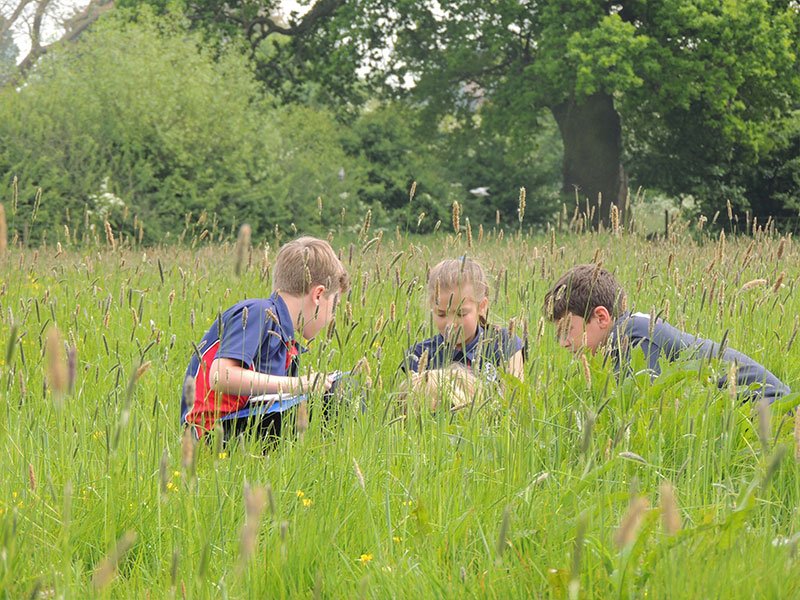 KingsStAlbans's tweet photo. Yesterday 6B had a great time wandering @DuckworthTrust #ChapterMeadows in the sunshine, collecting samples for their #science week studies https://t.co/8ernb299iT