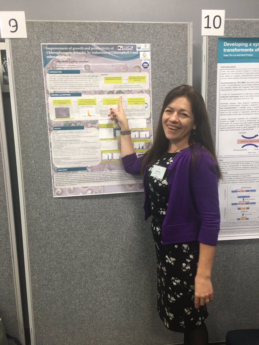 AllaSilkina1's tweet photo. Second day of #cyanobacteria #biotechnology #phyconet meeting in London https://t.co/M240Ih3CVV