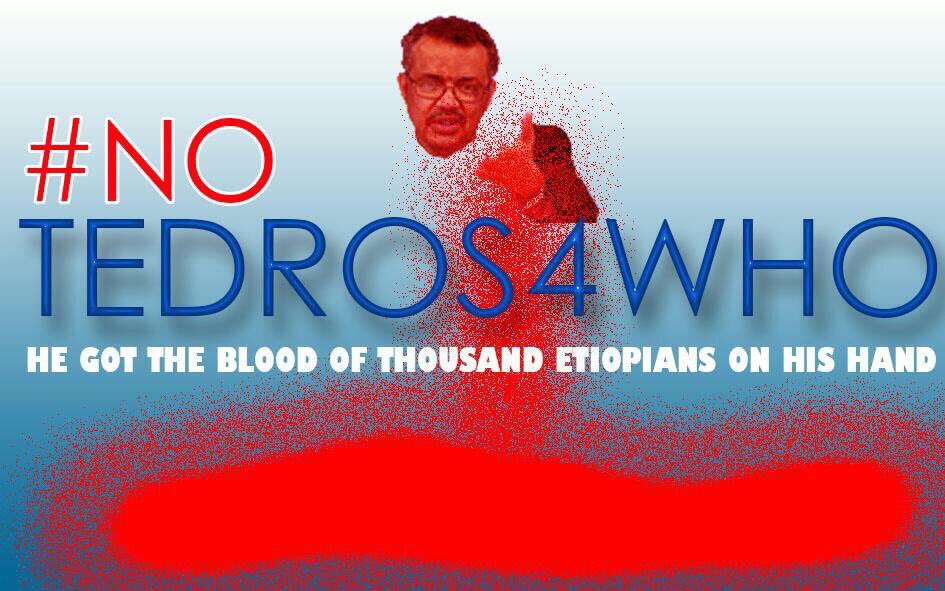 Criminals can't lead #WHO He is a member of #TPLF dictator elite, unqualified murderer for many #Ethiopians #NoTedros4WHO  @AnaGomesMEP #WHO