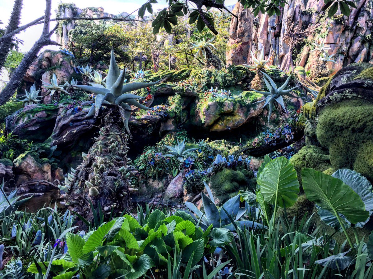 mainstreetmouse's tweet image. A Look at Today's Media Event (so far) at Pandora, Animal Kingdom #VisitPandora - themainstreetmouse.com/2017/05/12/loo…