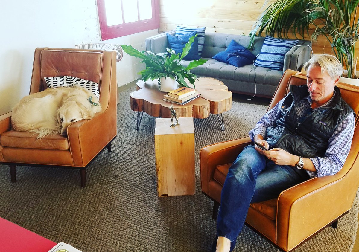 Just a CEO and his dog. 💙 🐶 Happy Friday, Bay Area! #fridayvibes #dogfriendlyoffice #HQ #oakland