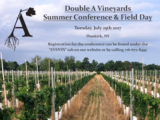 DoubleAVineyard's tweet image. Double A Vineyards - 2017 Summer Conference &amp;amp; Field Day - Reserve your spot before they fill up!
mailchi.mp/doubleavineyar…