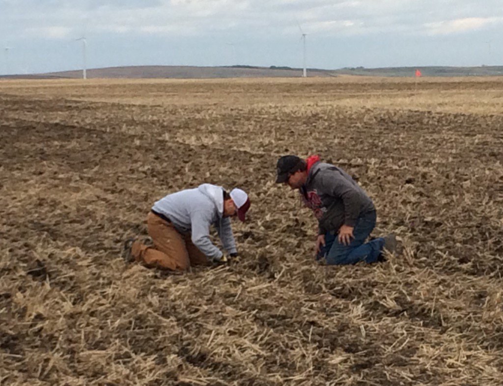 elbrockstar's tweet photo. Checking seed depth of #DEKALB 75-42 CR canola with @MNesbitt_Dekalb! Perfect 1/2 to 3/4 inch! #TrochuAB #MDtrial https://t.co/g0C6uJrMRv