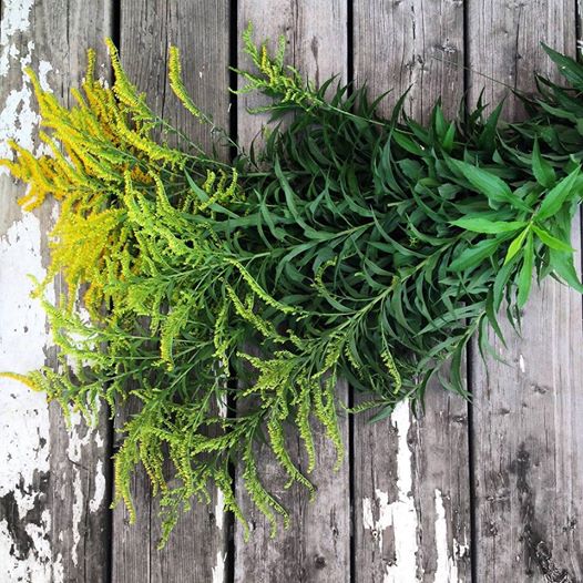 NRandCo's tweet photo. #DIYdelight: @CraftOntario pairs 3x Natural Dyeing Workshops with its upcoming Chromatic Geography show: https://t.co/b4p2gBFaFK https://t.co/CaddeR3bGf