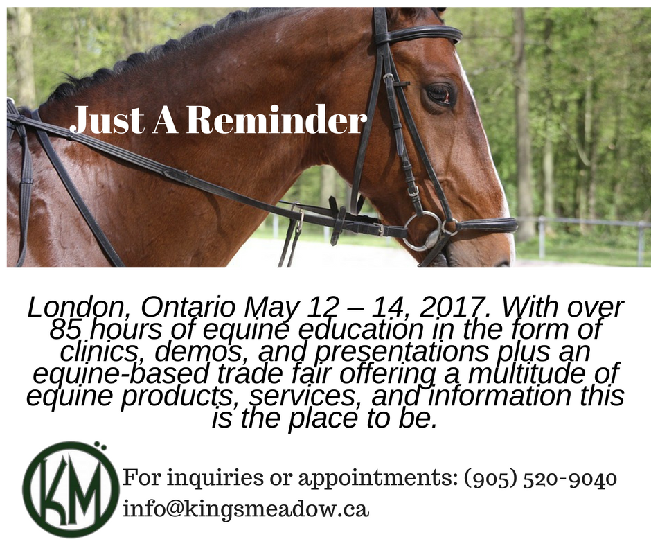 Just A Reminder. #training #breeding #EquestrianCentre #Hunter #jumper #KingsMeadowEC #PuslinchOn #HamiltonOn #Horse