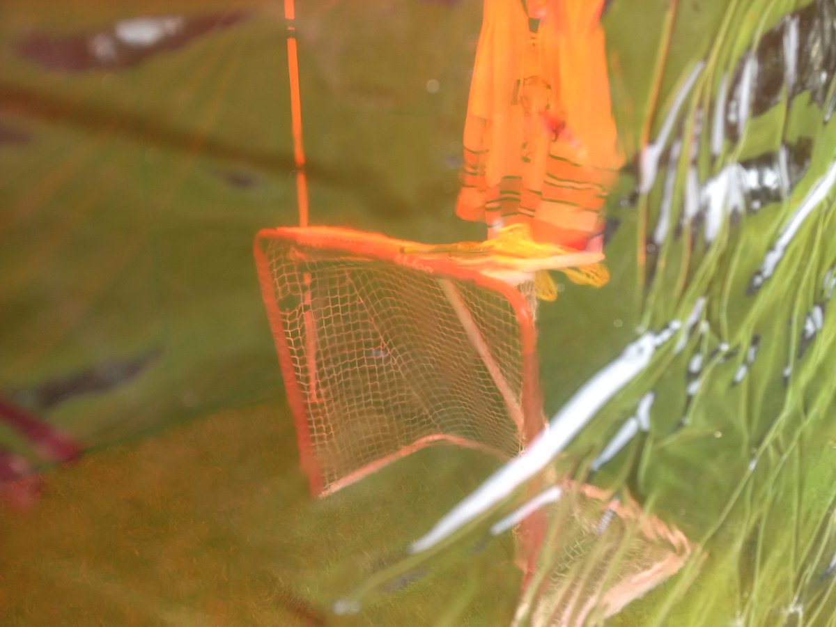 Our tent at @shropshirekidsfestival in the Quarry in Shrewsbury - we'll be there all weekend, spreading the word :-)