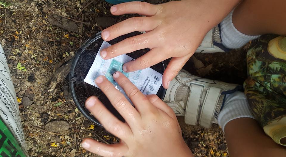 Groeikarton ; Bloemen en kruiden groeien uit het karton ow.ly/oGAS303SG2h