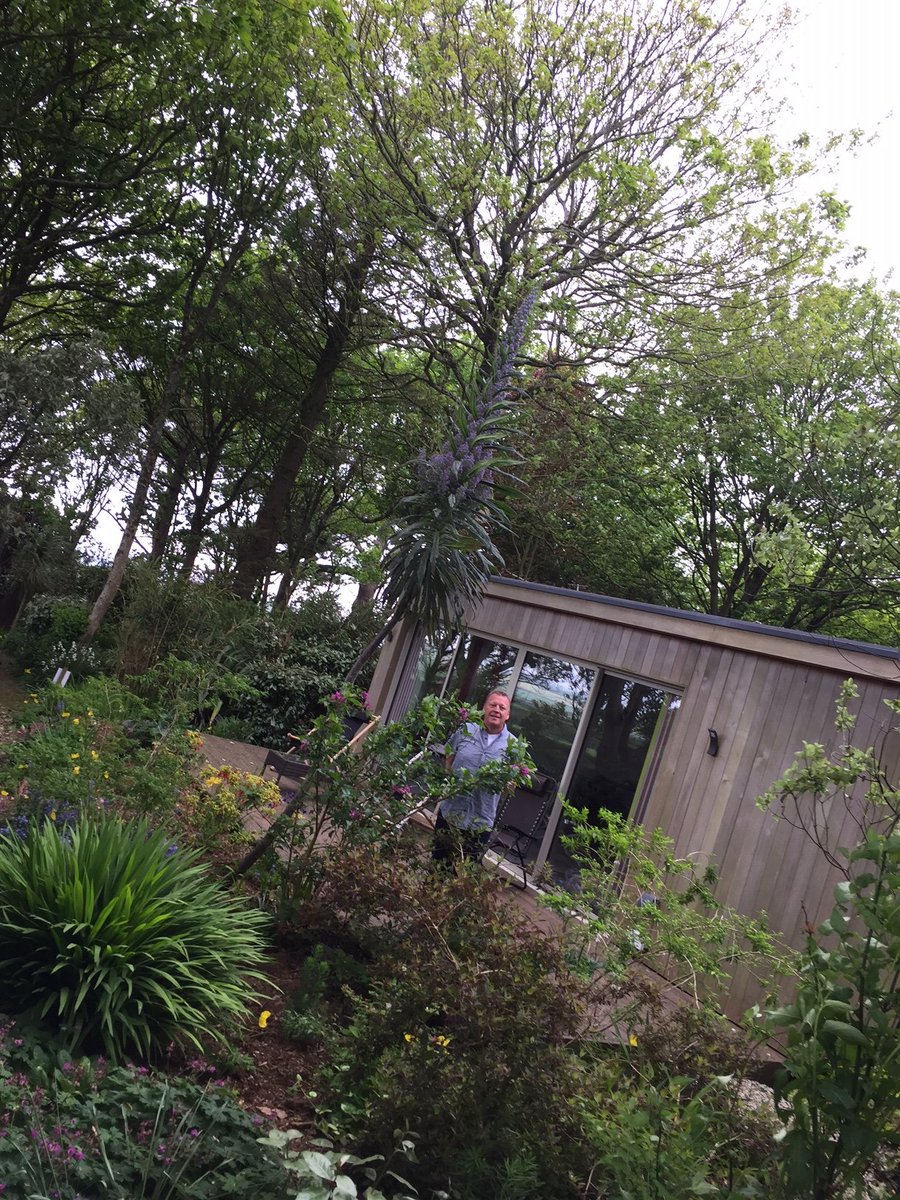 #Echiums #longcrosshotel #selfcatering #cornwall #seaview #CreamTeas #DocMartin #PortIsaac #PortWenn #longcrosshotelgardens