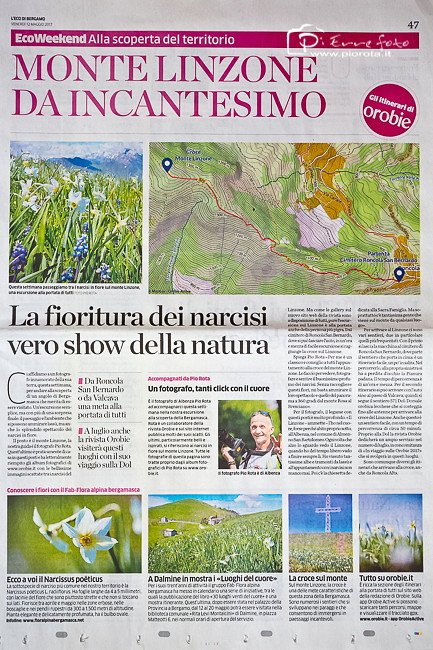 pio_rota's tweet photo. Quando ci Vuole.... ci Vuole..... SODDISFAZIONE
Valorizziamo i nostri Luoghi
https://t.co/M0e5sFVRAx
#PioRota #Linzone #Narcisi #Orobie https://t.co/pOyGBxSGfS