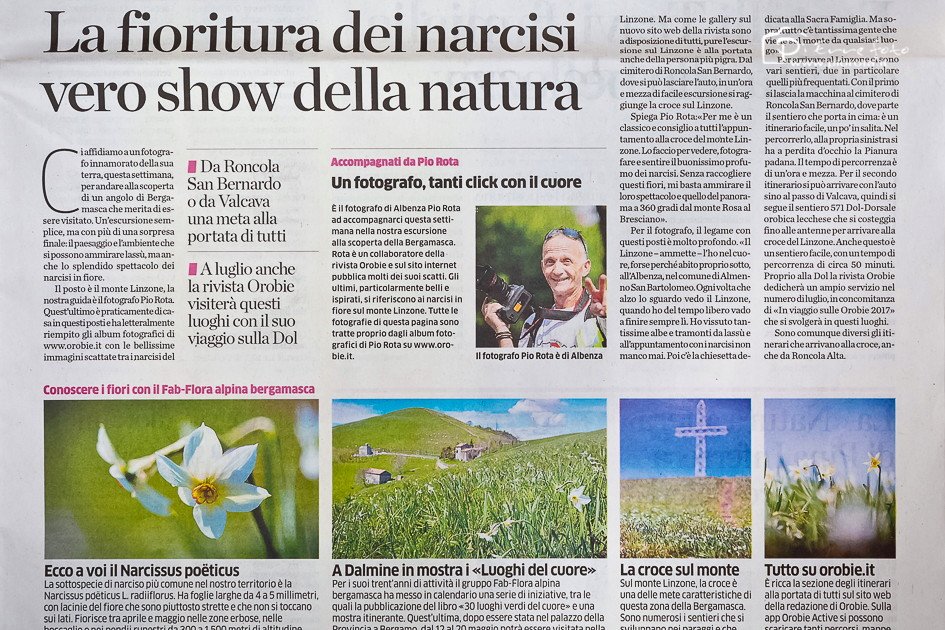 pio_rota's tweet photo. Quando ci Vuole.... ci Vuole..... SODDISFAZIONE
Valorizziamo i nostri Luoghi
https://t.co/M0e5sFVRAx
#PioRota #Linzone #Narcisi #Orobie https://t.co/pOyGBxSGfS