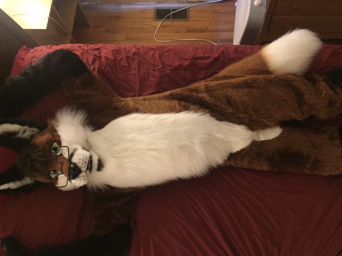 synthfox87.bsky.social tweet media