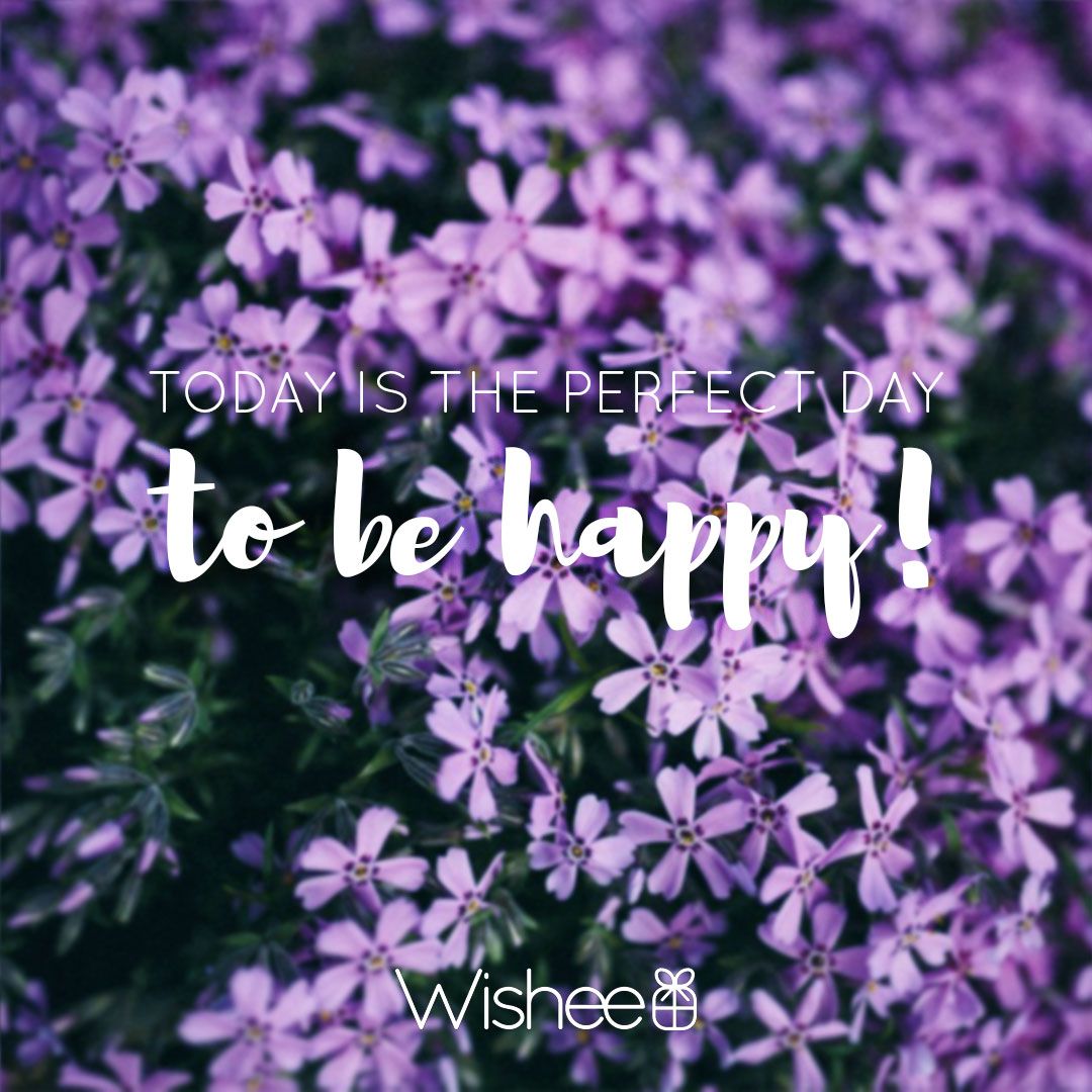 WisheeGifts's tweet photo. Happy Friday everyone! #Friday https://t.co/qimitfyhIj