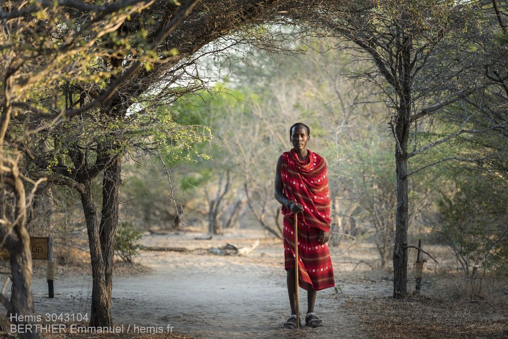 hemisfr's tweet photo. Travel Spécial Real People
Tanzanie🇹🇿BERTHIER Emmanuel
Inde🇮🇳GARCIA Julien
Ouzbékistan🇺🇿SCHROEDER Alain
Suisse🇨🇭WITT Pierre 
#HemisTeam https://t.co/s8HfOwQbf4