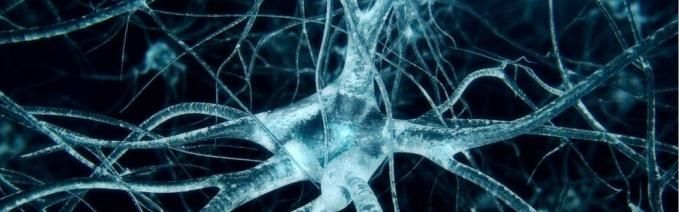 fisioterapia_es's tweet photo. Biofeedback para la función de MMII tras un infarto cerebral - J Physiother 2017: https://t.co/PRgEN33uk3 https://t.co/anx3UIEp2A