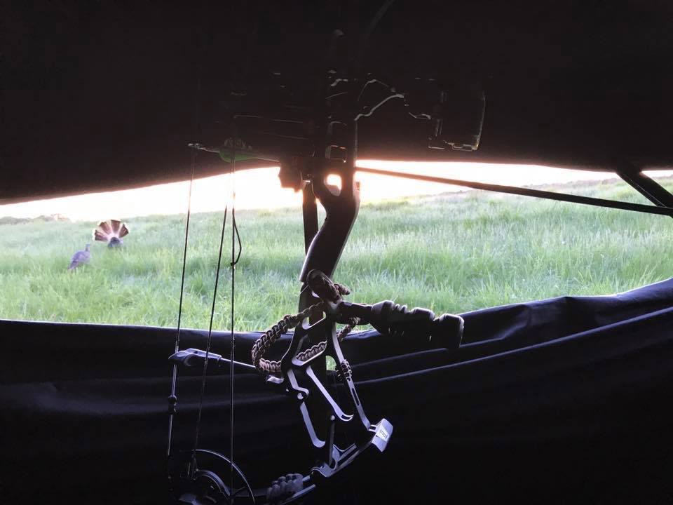 RaisedHunting's tweet photo. Missing all of you this morning!! Holy gorgeous morning!! #RaisedHunting https://t.co/Bg5FZCFi7b