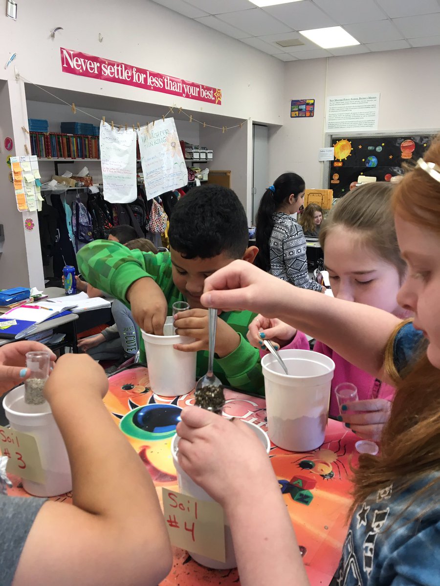 Stacy Calise tweet media